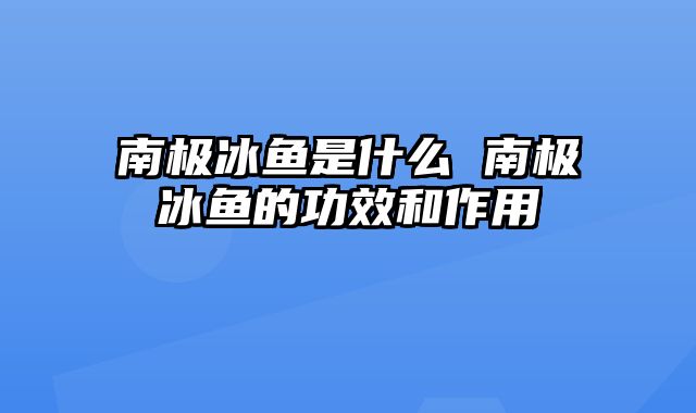 南极冰鱼是什么 南极冰鱼的功效和作用