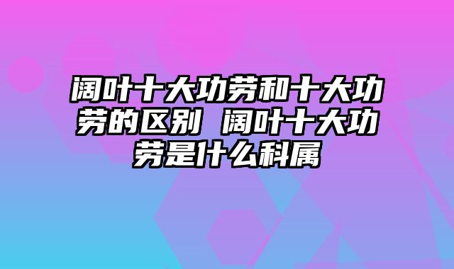 阔叶十大功劳和十大功劳的区别 阔叶十大功劳是什么科属