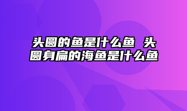 头圆的鱼是什么鱼 头圆身扁的海鱼是什么鱼