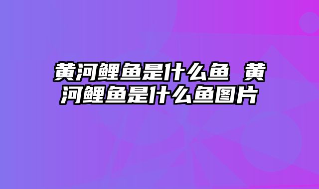 黄河鲤鱼是什么鱼 黄河鲤鱼是什么鱼图片