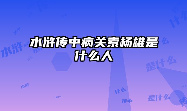 水浒传中病关索杨雄是什么人