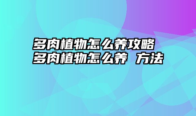 多肉植物怎么养攻略 多肉植物怎么养 方法