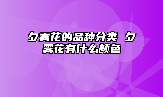 夕雾花的品种分类 夕雾花有什么颜色