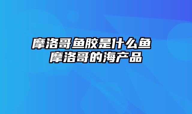 摩洛哥鱼胶是什么鱼 摩洛哥的海产品