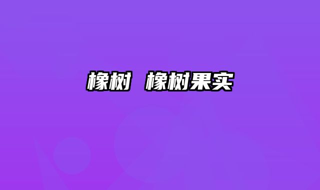 橡树 橡树果实