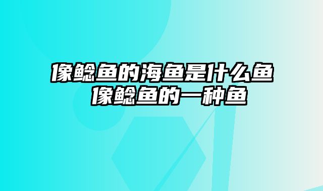 像鲶鱼的海鱼是什么鱼 像鲶鱼的一种鱼