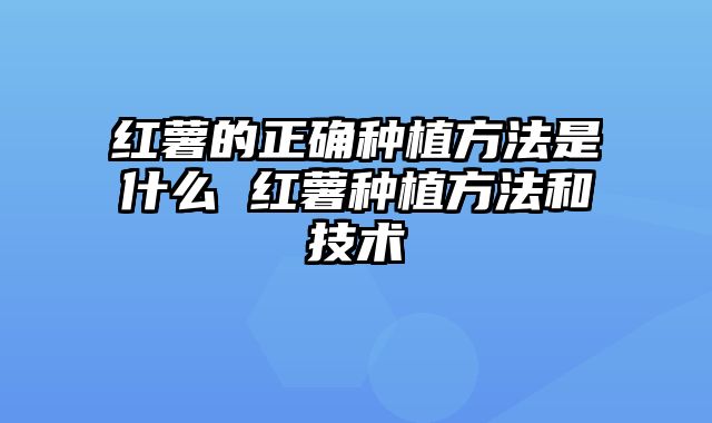 红薯的正确种植方法是什么 红薯种植方法和技术