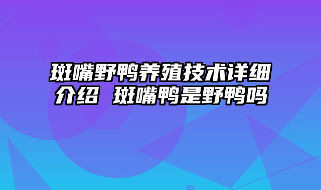 斑嘴野鸭养殖技术详细介绍 斑嘴鸭是野鸭吗