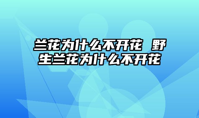 兰花为什么不开花 野生兰花为什么不开花