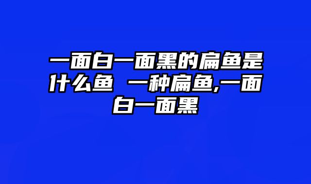 一面白一面黑的扁鱼是什么鱼 一种扁鱼,一面白一面黑