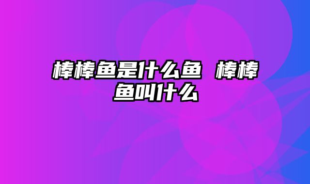 棒棒鱼是什么鱼 棒棒鱼叫什么