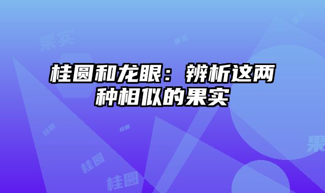 桂圆和龙眼：辨析这两种相似的果实