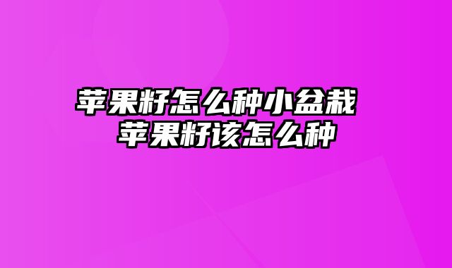 苹果籽怎么种小盆栽 苹果籽该怎么种