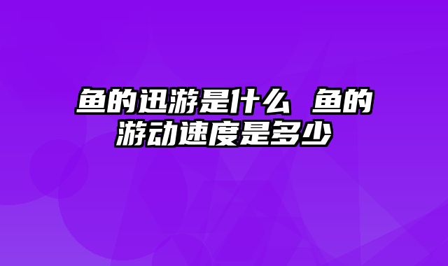 鱼的迅游是什么 鱼的游动速度是多少